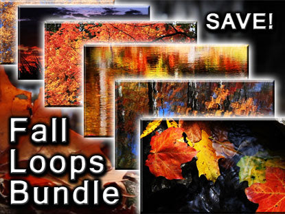 Fall Loops Collection