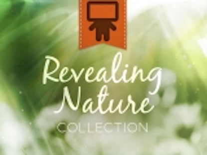 Revealing Nature Collection
