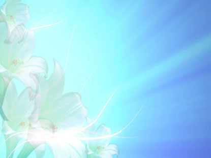 Easter Lilies Bundle