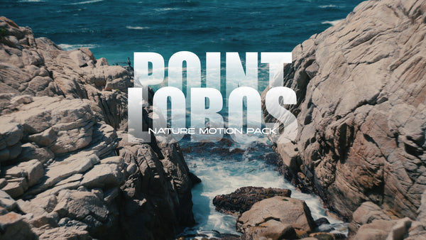 Point Lobos