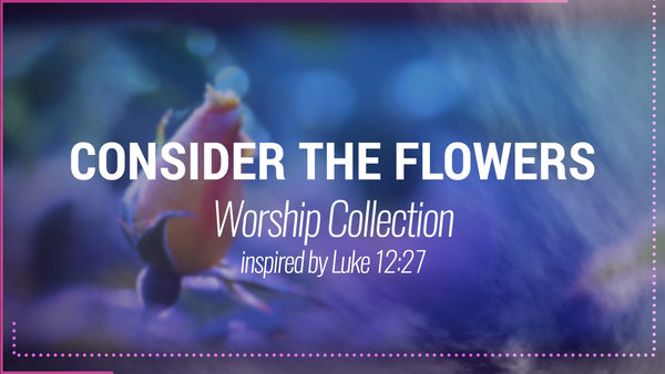 Consider The Flowers Collection