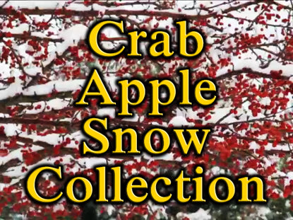 Crab Apple Snow Collection