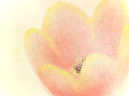 Maternal Eternal Collection
