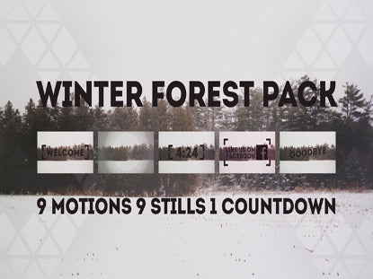 Winter Forest Pack