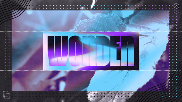 Wonder Collection