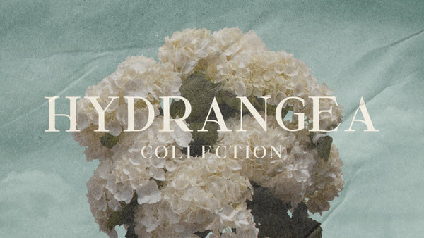 Hydrangea Collection