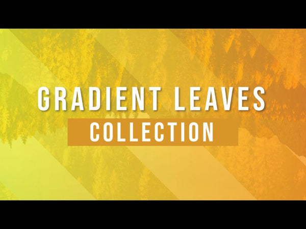 Gradient Leaves Collection