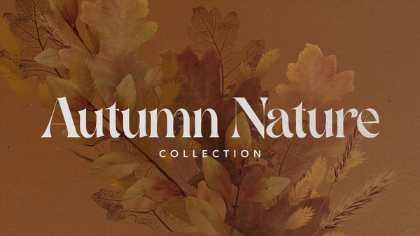 Autumn Nature Collection