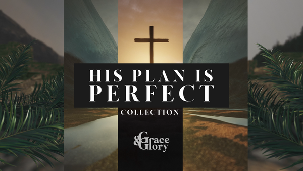 His Plan Is Perfect