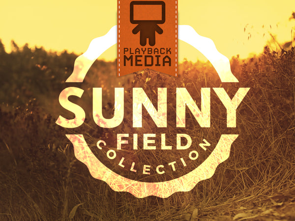 Sunny Field Collection