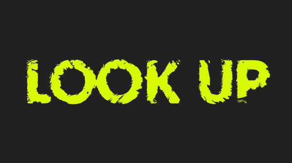 Look Up Collection