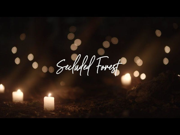 Secluded Forest