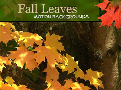 Fall Leaves Motions