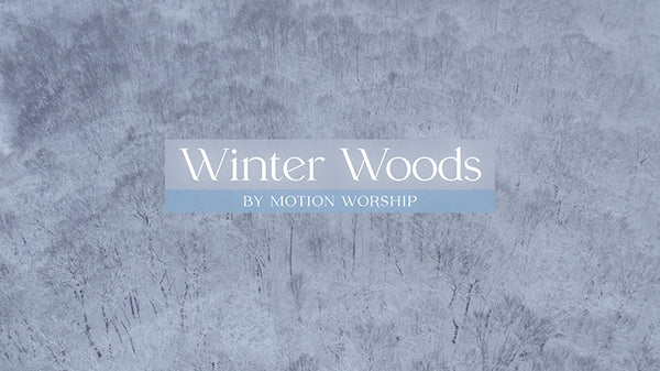 Winter Woods Collection