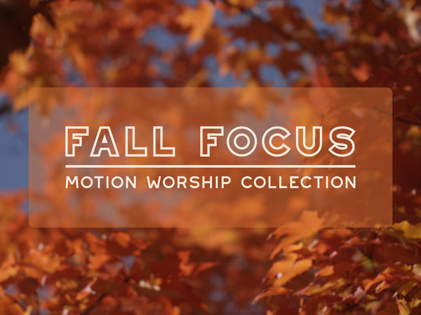 Fall Focus Collection