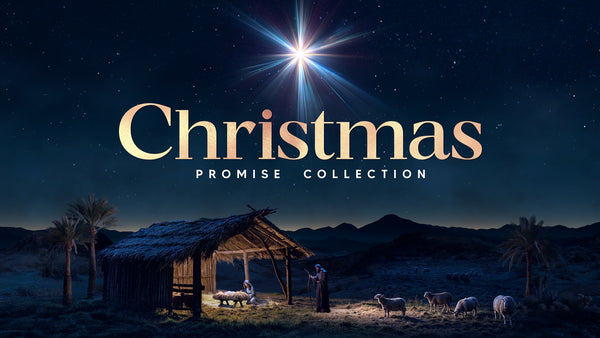 Christmas Promise Collection