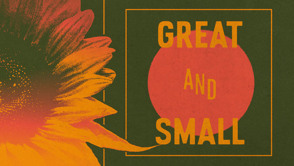 Great And Small Collection