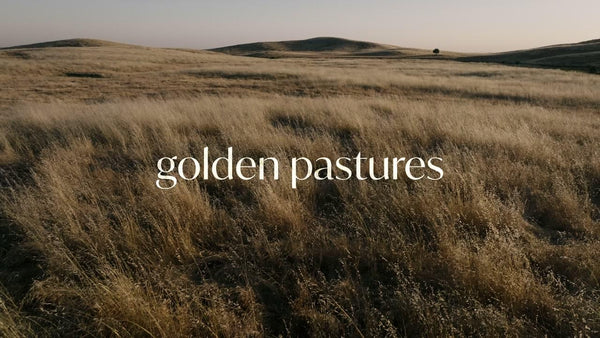 Golden Pastures Collection