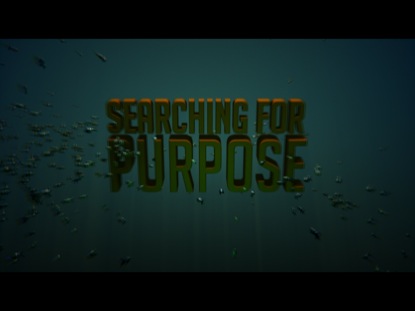 searchingforpurpose