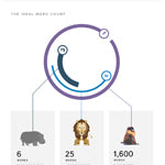 The Ideal Length of Everything [Infographic]