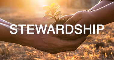 Stewardship