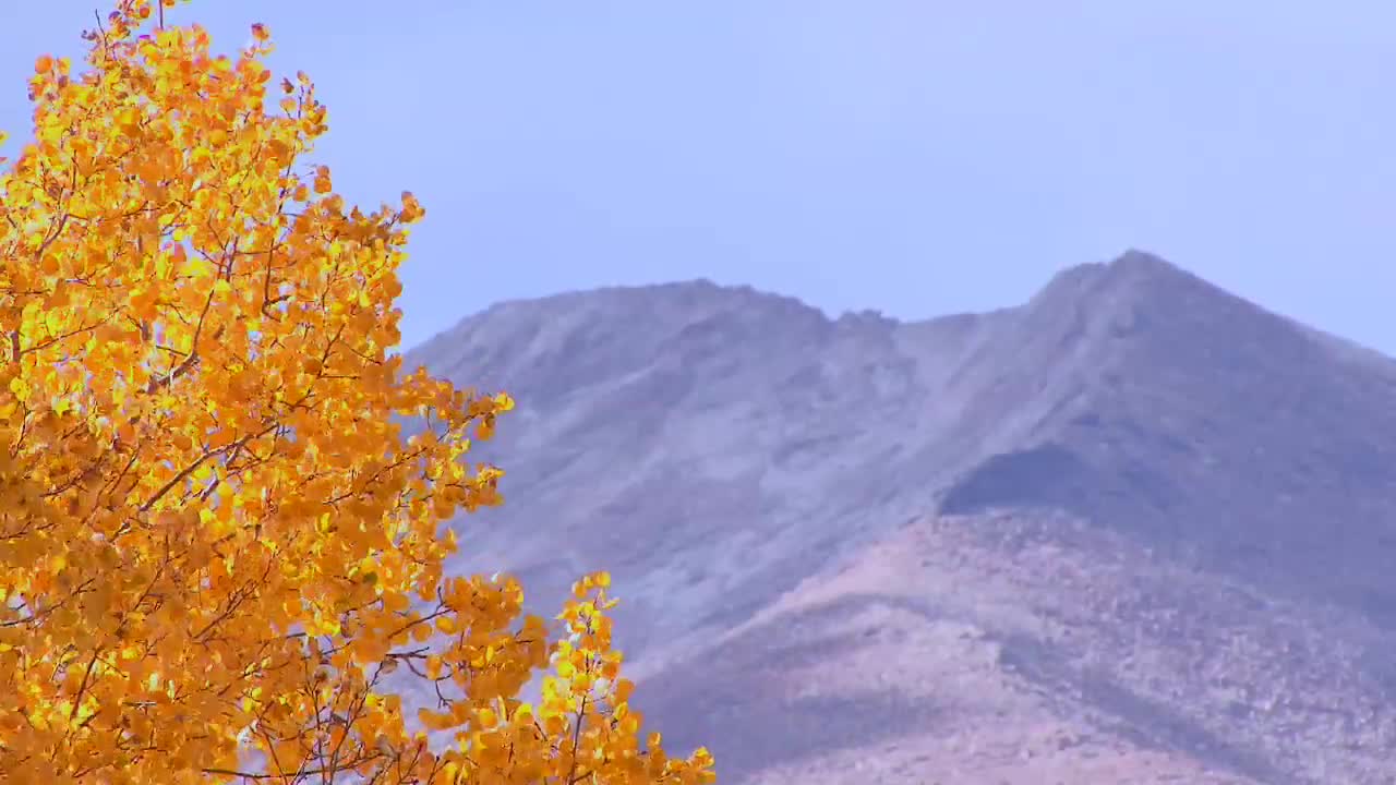 Aspen Mountain