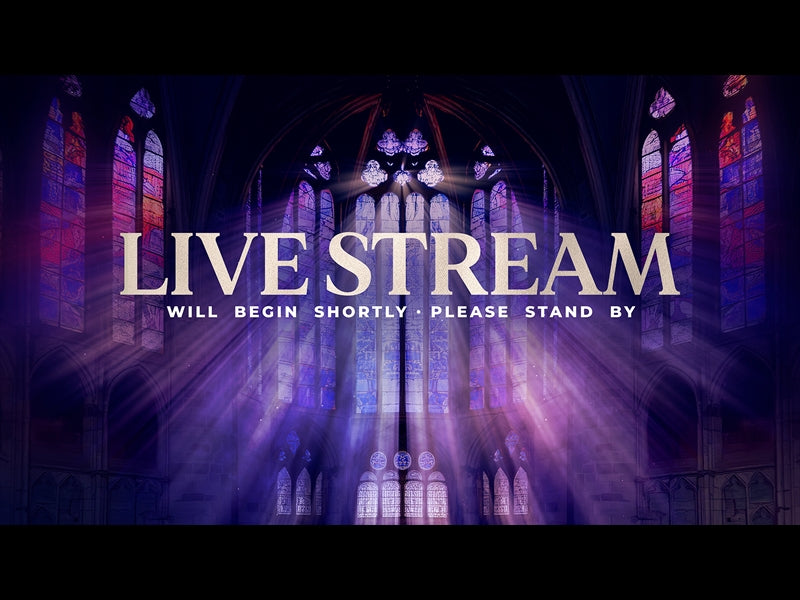 Cathedral Glass Live Stream