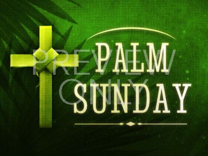Holy Palms Still 1
