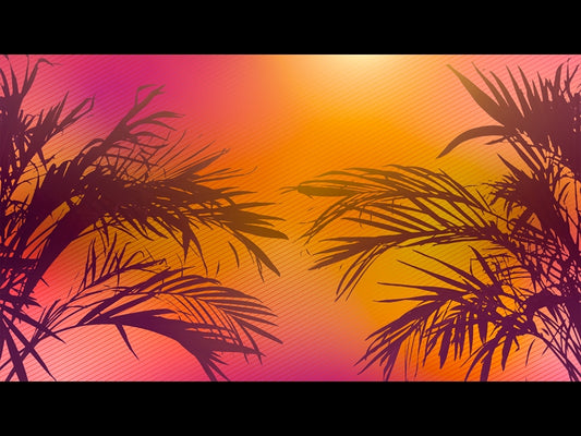 Sun Palms 3