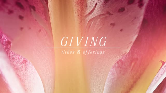Flowers Of The Field Giving