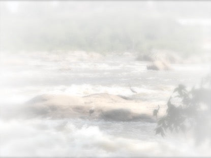 White Washed 4 Motion