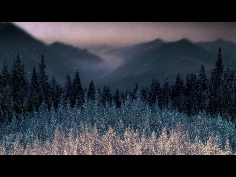 Sparkling Trees 11