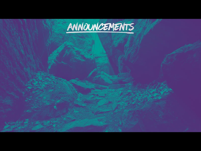 Deep Forest Announcements