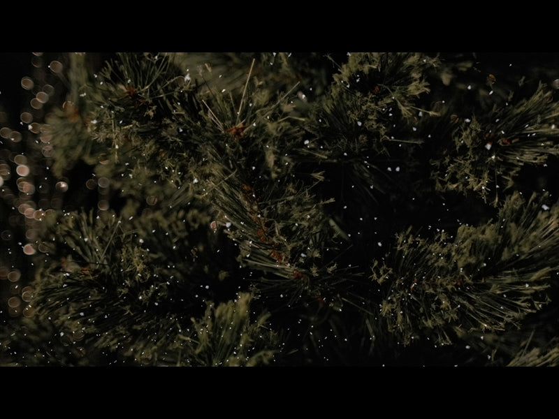 Christmas Tree 7