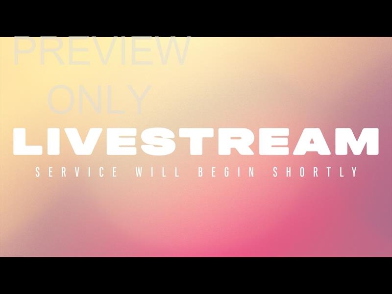 Here Comes The Sun Livestream Still