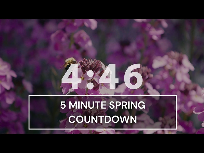 5 Minute Countdown Timer - Relaxing Spring