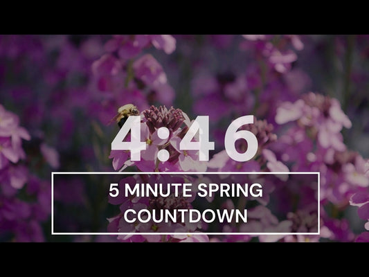 5 Minute Countdown Timer - Relaxing Spring