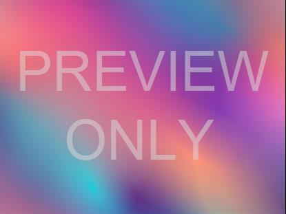 Neon Summer 22 Still