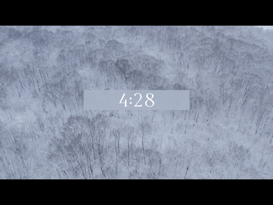 Winter Woods Countdown