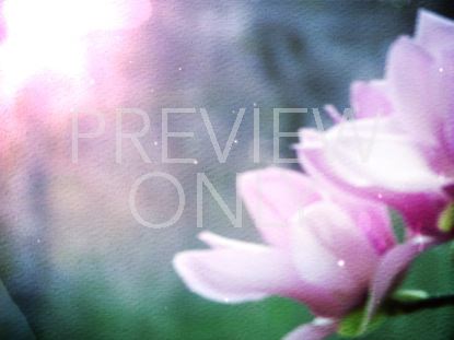 Watercolor Magnolia 01
