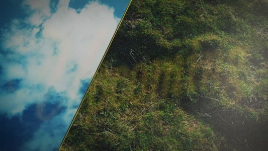 Heaven And Earth Upcoming