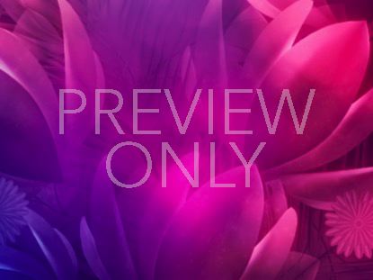 Mom'S Flower Bouquet 3 Still