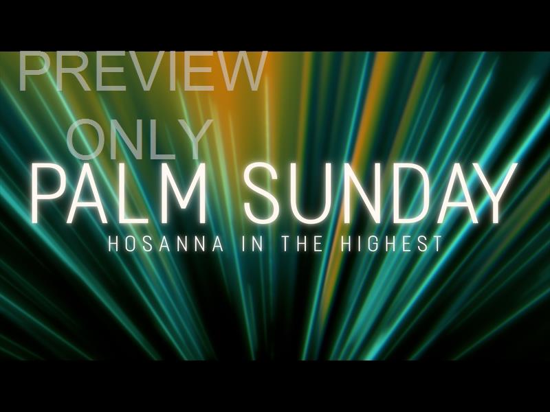 Light Ray Palm Sunday Still