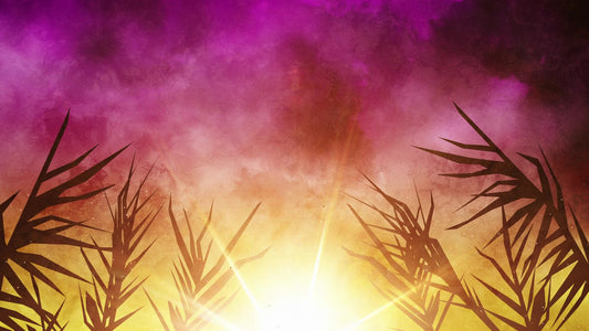 Bright Palm Sunday 01