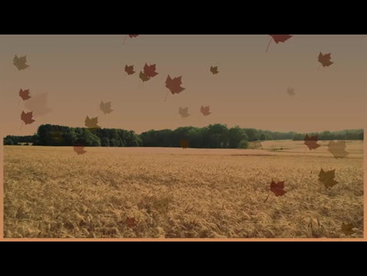 Harvest Motion Background 2