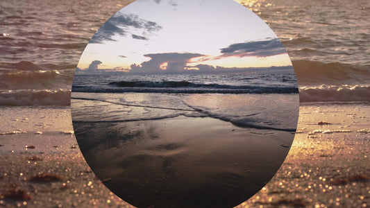 Spring Nature Motion 16