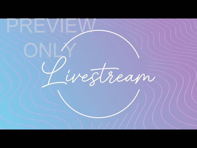 Lavender Waves Still Livestream