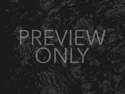 Black And White Bayou