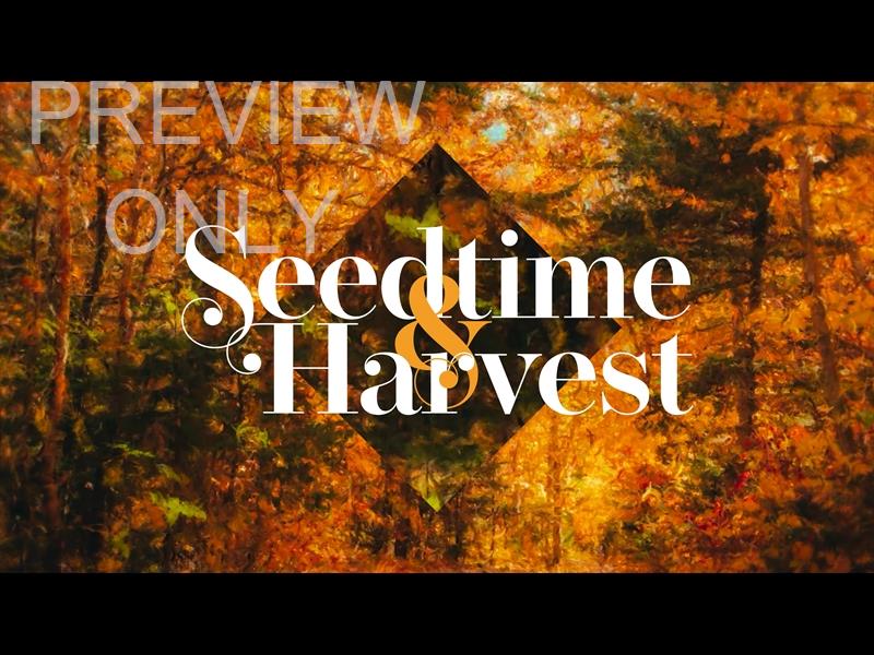Autumn Vibes Title Graphic 1