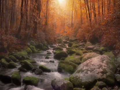 Rivers 1